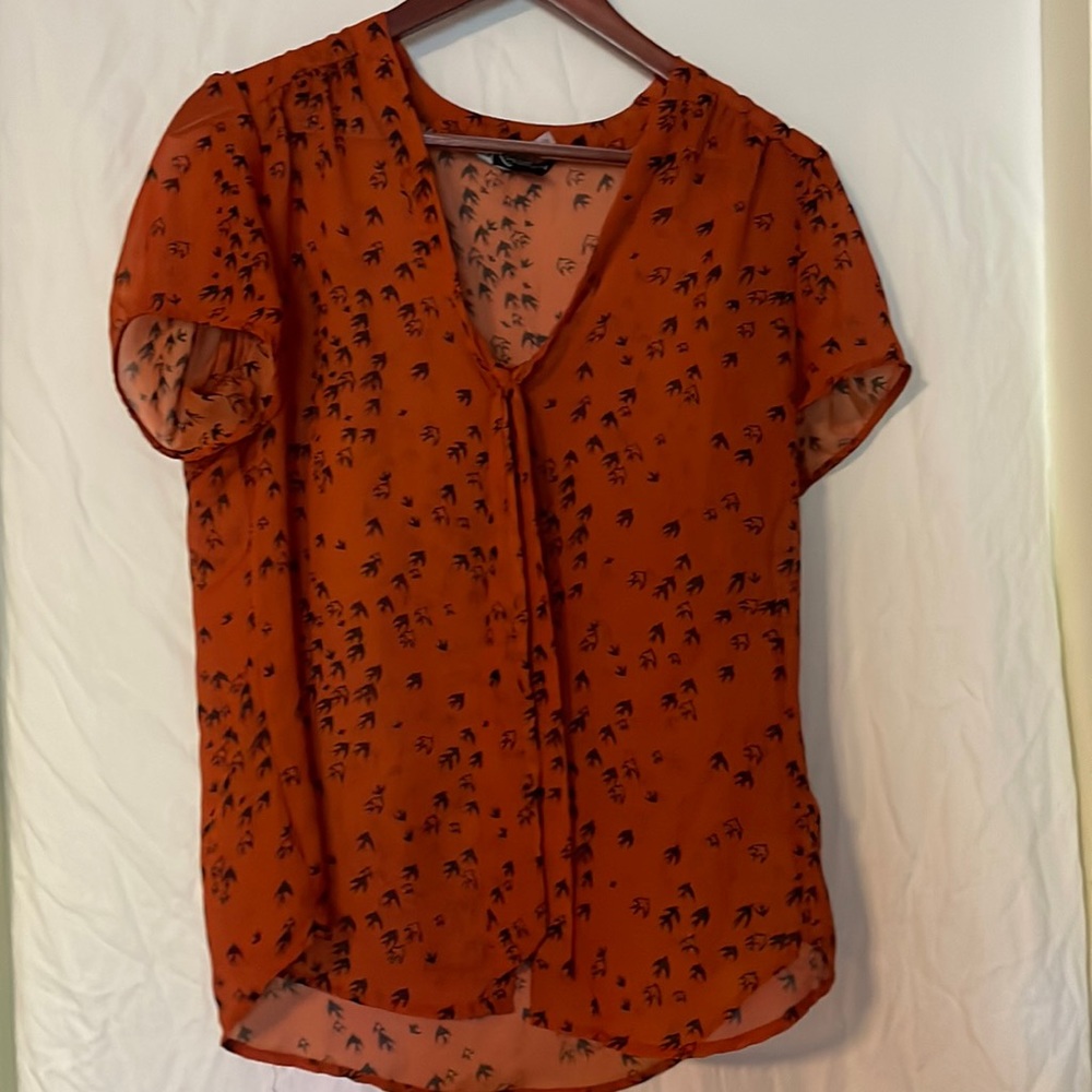 Sheer shirt